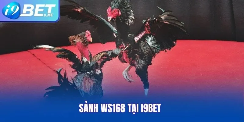 Sảnh WS168